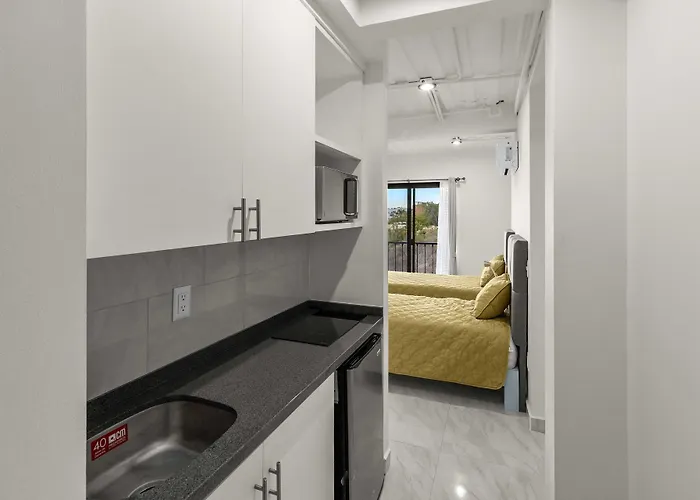 Morgan Residences 508 Apartahotel Cabo San Lucas
